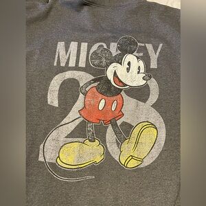 Mens DISNEY PARKS zip up hoodie size 2XL Mickey Mouse